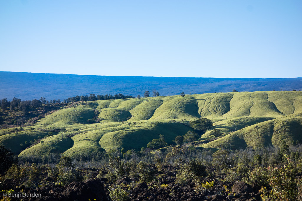 Grasslands on the slopes of Mauna Loa